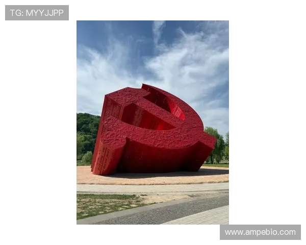 武汉乒乓球队逆袭之旅揭示团队精神与奋斗的力量 武汉乒乓球队逆袭之旅揭示团队精神与奋斗的力量