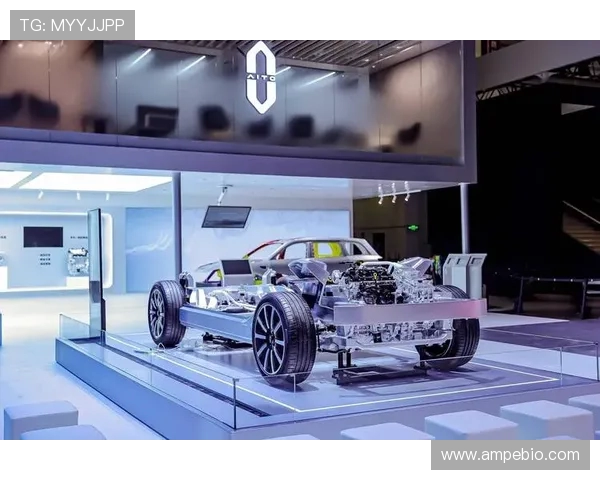 武汉滑板队的盯防革新之路:探索战术与团队协作的新境界 武汉滑板队的盯防革新之路:探索战术与团队协作的新境界