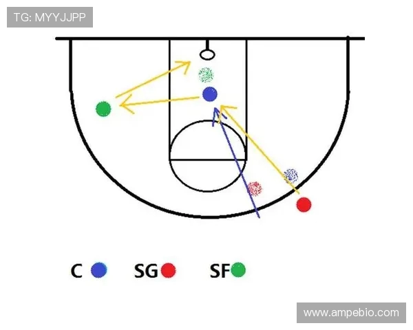 深圳羽毛球队的防反战术解析与深度剖析 深圳羽毛球队的防反战术解析与深度剖析