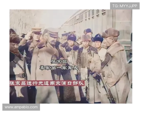 深圳网球队的崛起之路:从默默无闻到世界杯舞台的辉煌历程 深圳网球队的崛起之路:从默默无闻到世界杯舞台的辉煌历程