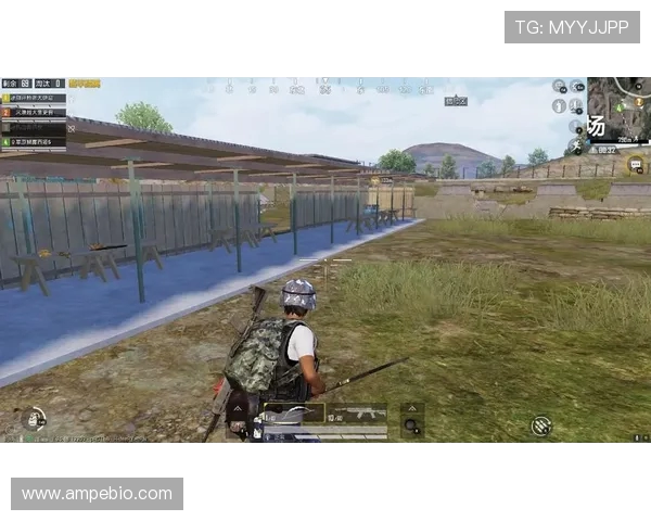 王军专访揭秘和平精英成功背后的策略与创新之路