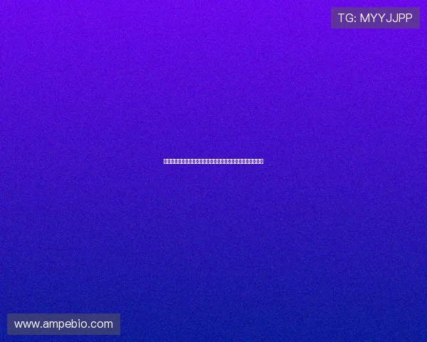 西安飞盘队心理素质引发热议球员表现与团队协作的深层次探讨