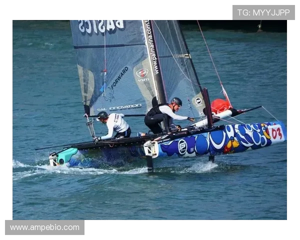 赛后分析：上海极限运动队与杭州极限运动队的默契配合与战术探讨