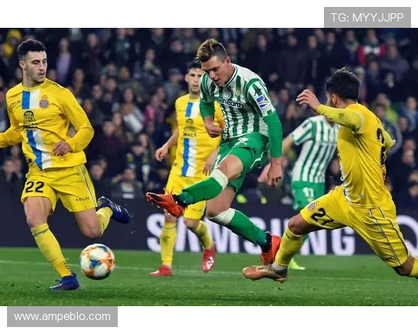 南安普顿主场迎战德比队双方争夺英冠积分榜关键战役