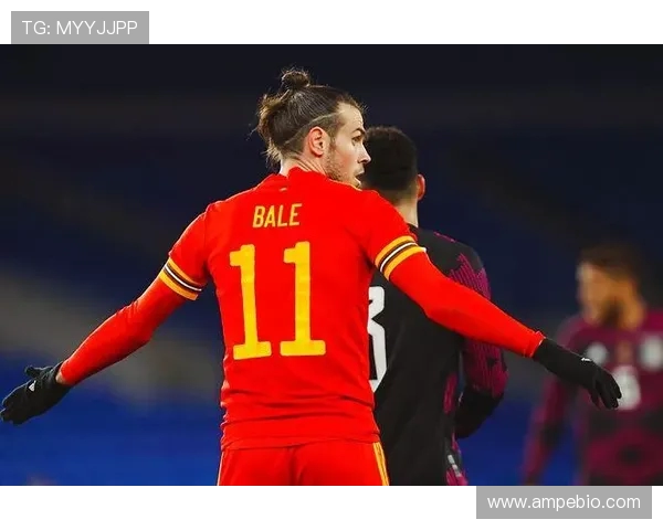 墨西哥与威尔士比赛分析及胜负推荐，助你精准预测结果