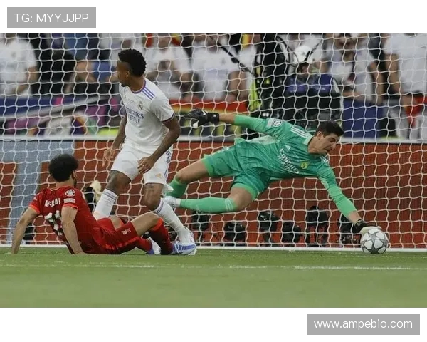 意大利与比利时精彩对决全场录像回放及精彩瞬间解析