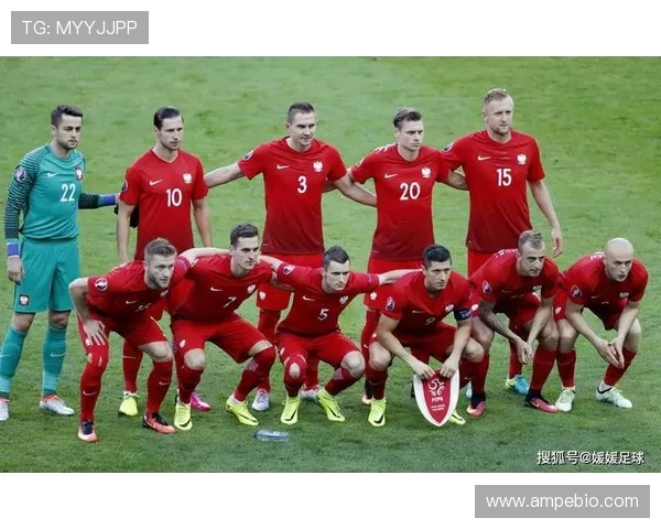 挪威与北爱尔兰足球对决分析及历史交锋回顾