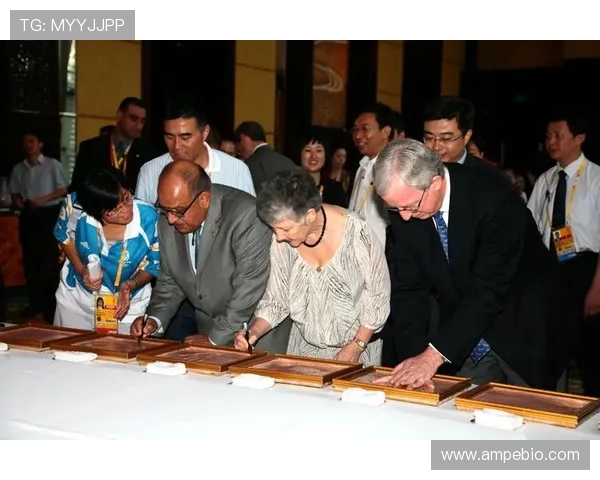 梅斯与贝兹尔比赛结果揭晓精彩瞬间回顾与分析