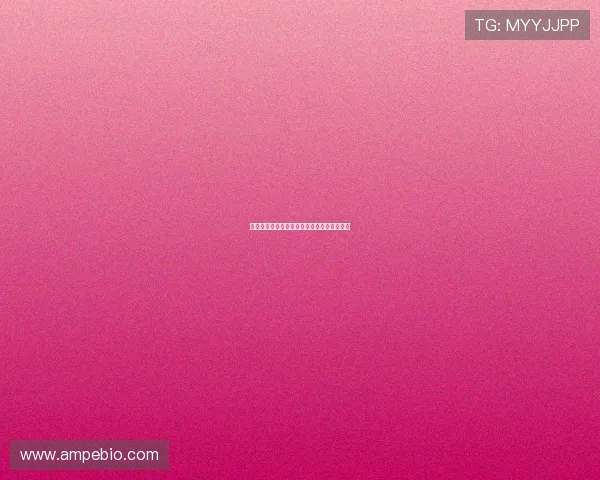 波尔多与维迪奥的较量谁能在赛场上笑到最后 波尔多与维迪奥的较量谁能在赛场上笑到最后