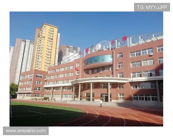 贾诚的奋斗历程与人生哲学探讨:从平凡到卓越的成长之路 贾诚的奋斗历程与人生哲学探讨:从平凡到卓越的成长之路