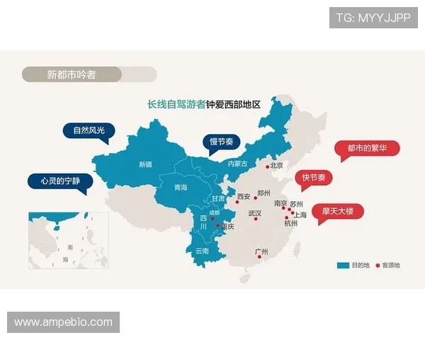 重庆极限运动队比赛经验分析与数据洞察探讨