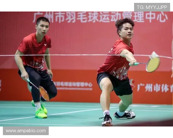 西安羽毛球队防守反击策略分析与比赛表现评估 西安羽毛球队防守反击策略分析与比赛表现评估