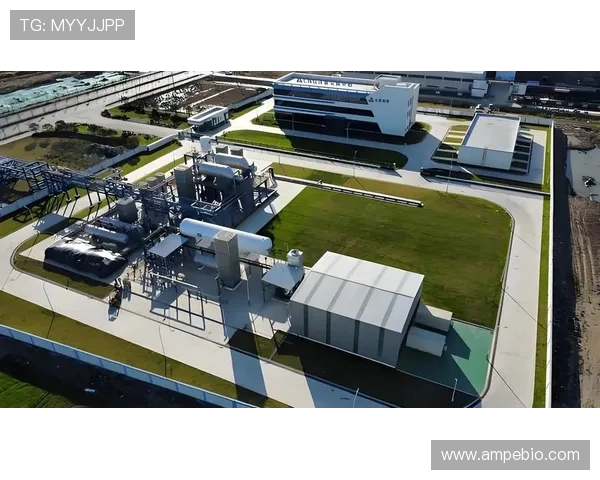 LNG战队转型之路的背后故事与奋斗历程全景纪实 LNG战队转型之路的背后故事与奋斗历程全景纪实