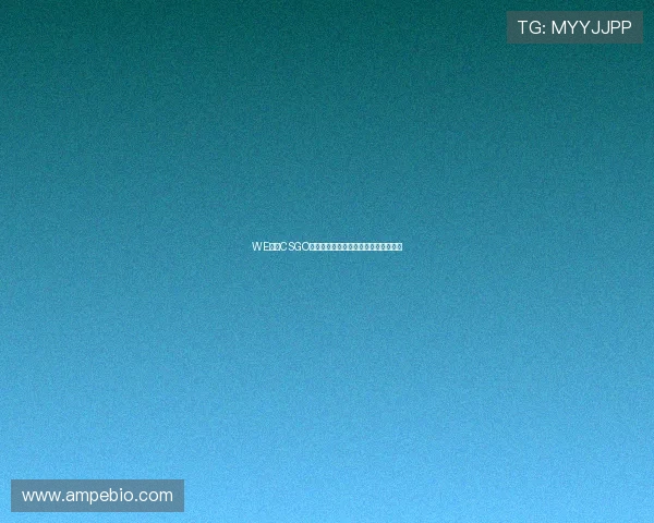 WE战队CSGO配合新策略引发热议团队协作迎来变革 WE战队CSGO配合新策略引发热议团队协作迎来变革