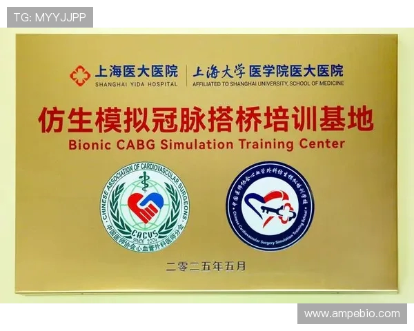 上海攀岩队比赛经验分析与表现评估探讨