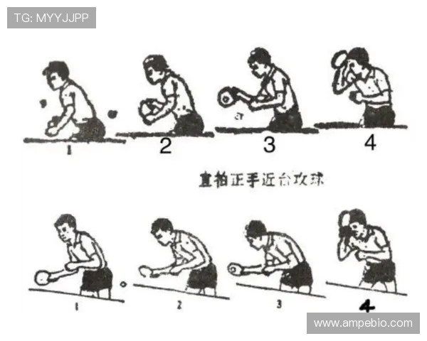 乒乓球新手必看:全面提升个人能力的入门技巧与训练方法指南 乒乓球新手必看:全面提升个人能力的入门技巧与训练方法指南