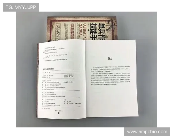 从零起步掌握英雄联盟战术精髓全方位攻略与实战技巧分享