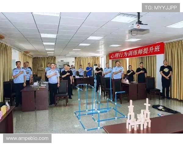 北京足球队心理素质分析与提升策略探讨之路