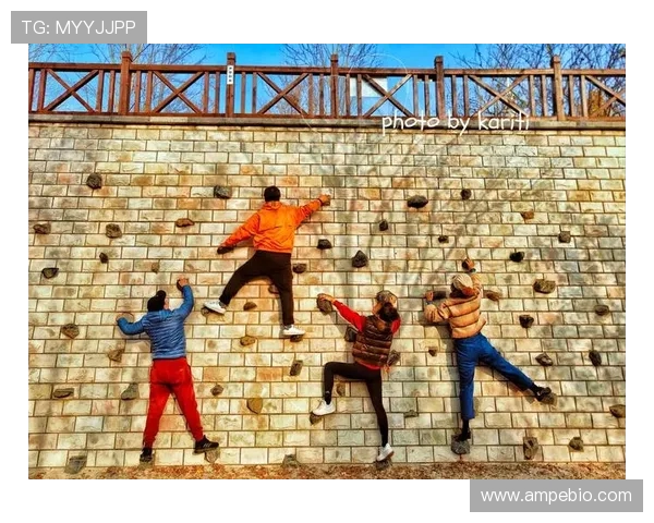 南京攀岩队实力分析与发展潜力探讨攀岩运动的未来展望 南京攀岩队实力分析与发展潜力探讨攀岩运动的未来展望