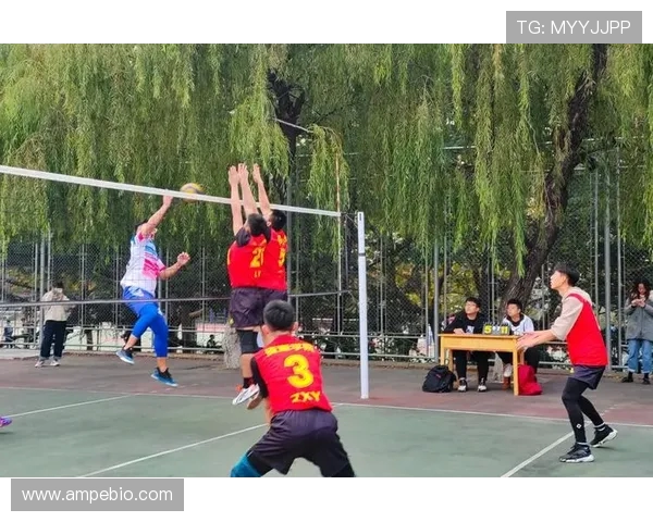 南京排球队在钻石联赛中的逆袭之旅展现拼搏精神与团队力量 南京排球队在钻石联赛中的逆袭之旅展现拼搏精神与团队力量