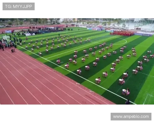 广州足球队杯赛征程回顾与奋斗精神的深度剖析