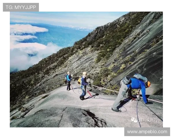 极限运动灵活性榜单揭晓上海极限运动队荣登第十位